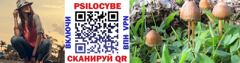 Псилоцибиновые грибы Cubensis Подольск
