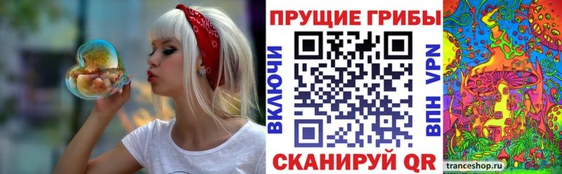 площадка клад Подольск Галлюциногенные грибы мухоморы